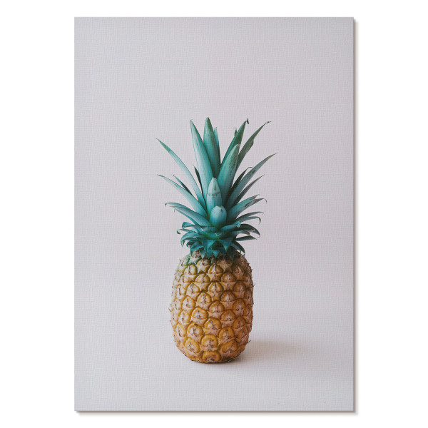 Wydruki na płótnie A1 Ananas o turkusowych liściach białe tło 1007933