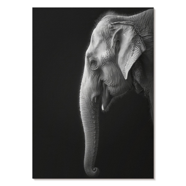 Wydruki na płótnie A4 Monochromatyczny portret słonia w profilu 979318
