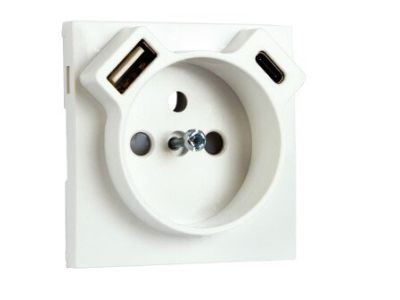 Element centralny do gniazda z uziemieniem z USB typ A + C (Logus 90 / Base) perłowy | 90650TPE Efapel